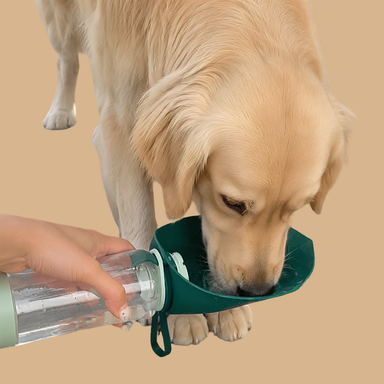 Pet Travel Water Bottle