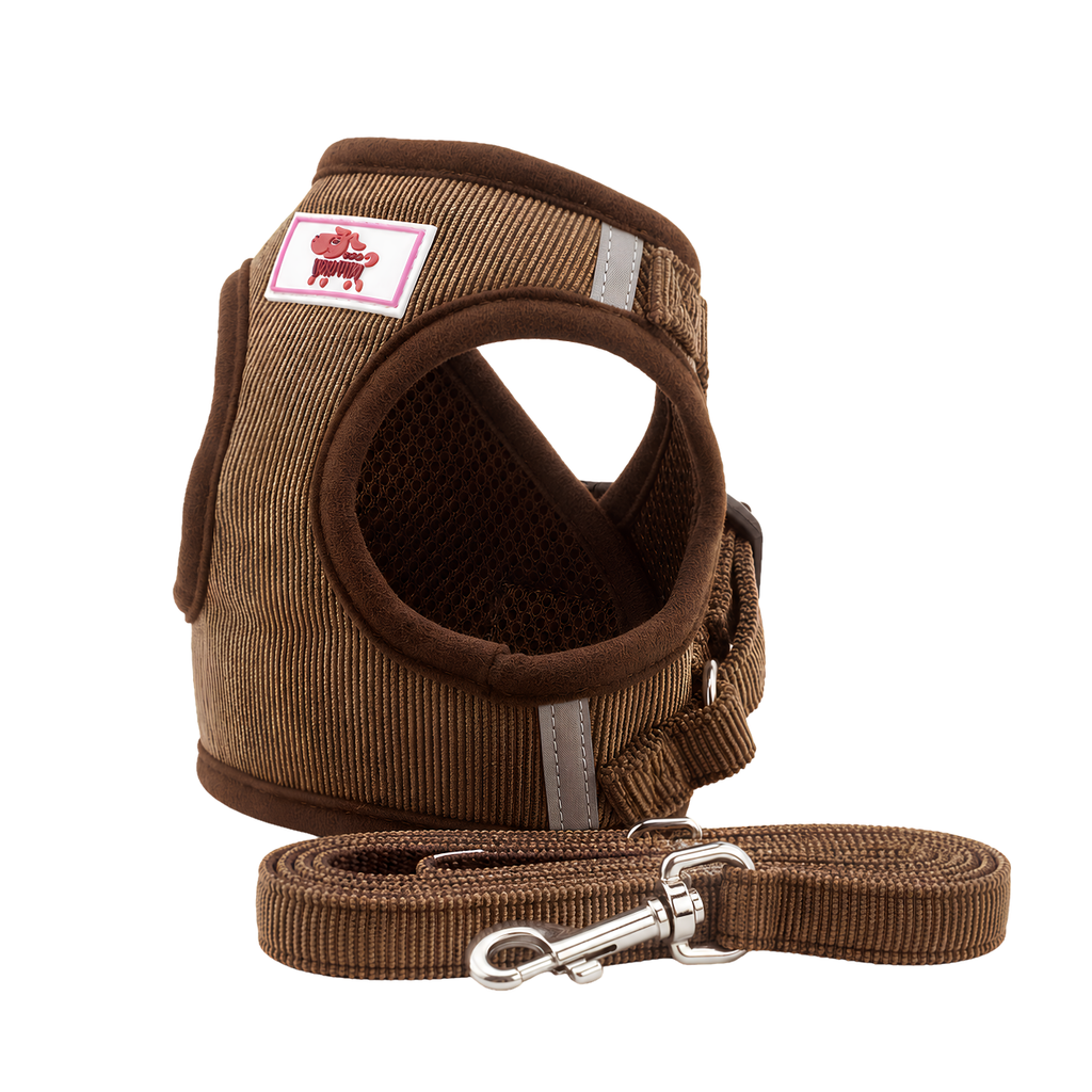 Dog Harness and Leash