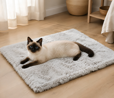 Convertible Cat Bed Blanket