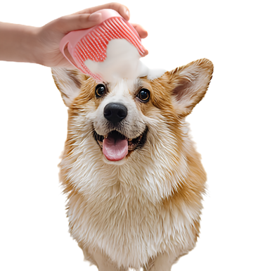 Dog  Grooming Set