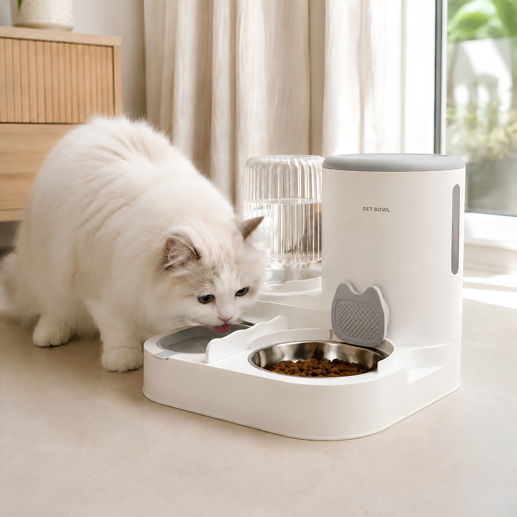 Gravity Cat Feeder Station