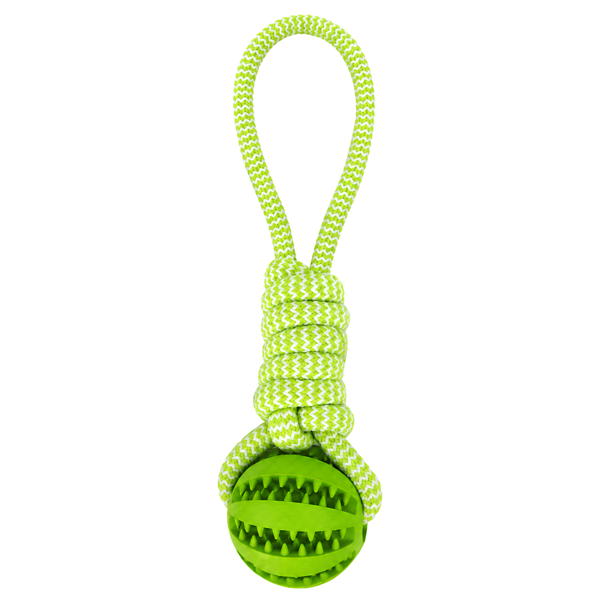 Interactive Dog Toys