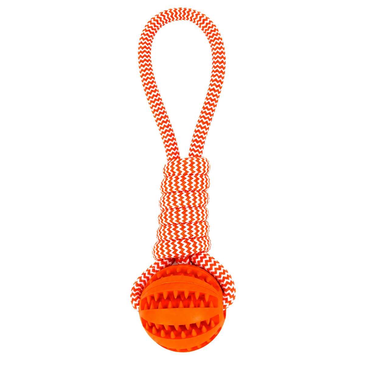 Interactive Dog Toys