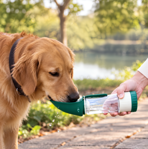 2-in-1 Dog Water Bottle and Travel Bowl