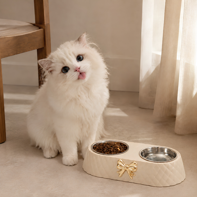 Raised double cat bowl displayed in a modern pet feeding space