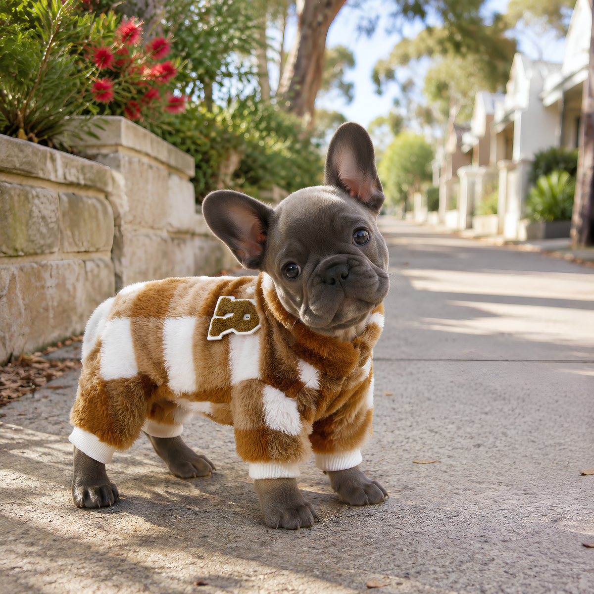 Velvet Dog Jacket