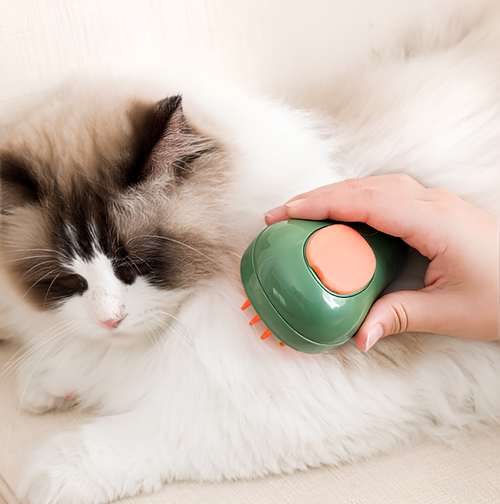 cat steam brush