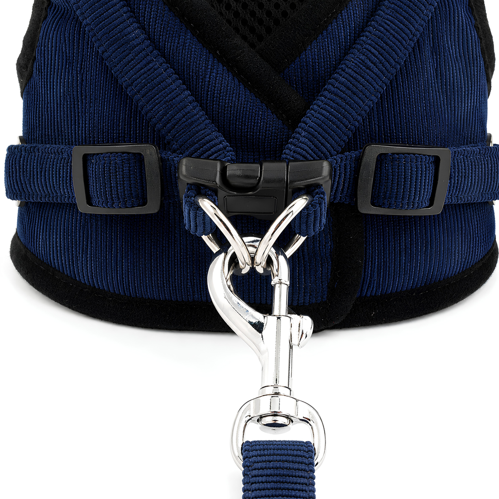 Dog Harness and Leash