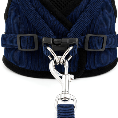 Dog Harness and Leash