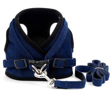 Dog Harness and Leash